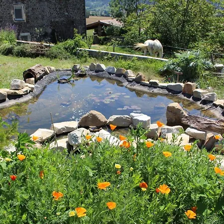 L'attrape Reve Insolite Campo de lujo