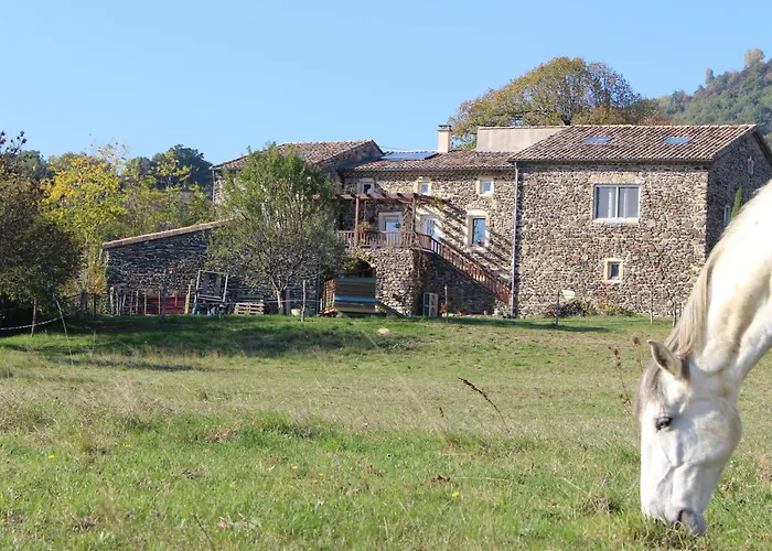 L'attrape Reve Insolite